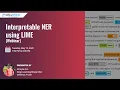 Interpretable NER using LIME