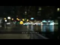 لاتسوي نفسك منتهي وتحبني....استوري