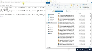 File Name Organizer Script using python 3 7 With Source code