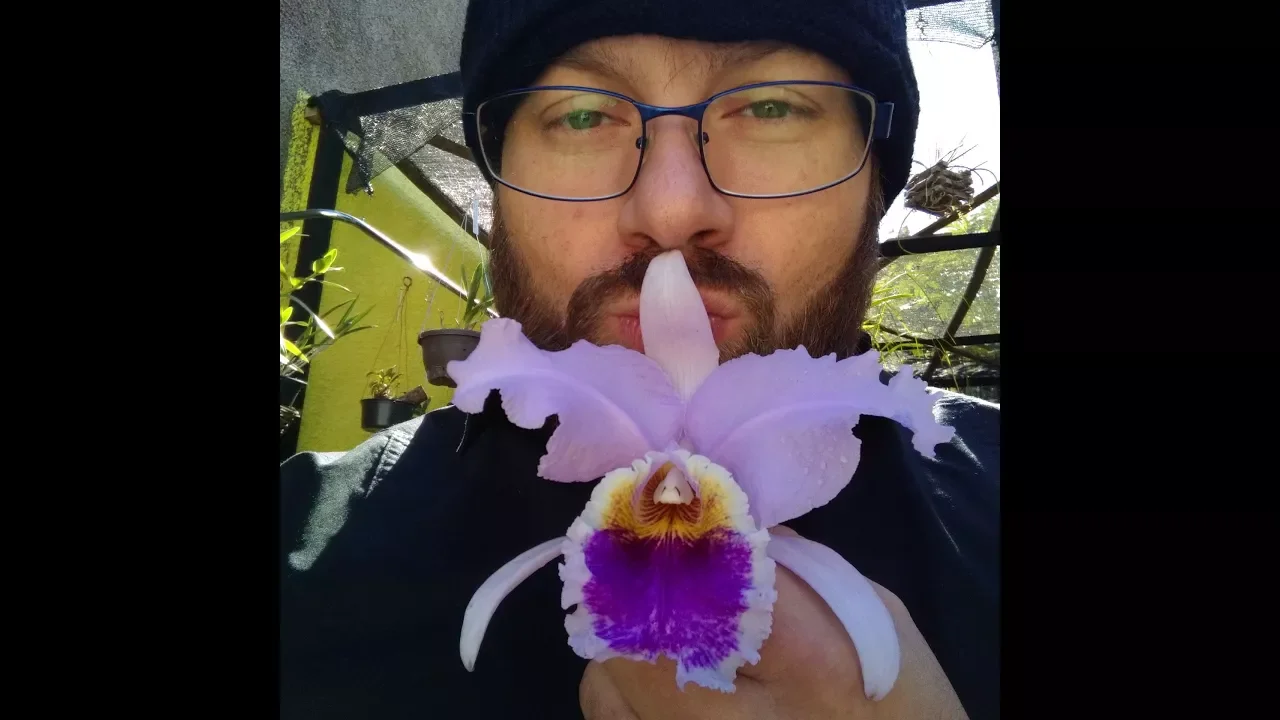 ABC DE COMO CULTIVAR ORQUÍDEAS. (CHUVAS, REGAS, VASOS, E AMBIENTE, PARTE FINAL) (EPISÓDIO 6/12)