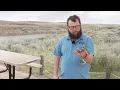 Summer safety snakes