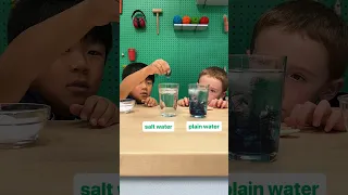 Salt Water Trick Chemistry Experiment At Home With Food Coloring 