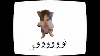 نو بسكوت نووو نو بسكوت نووووو    دندنها