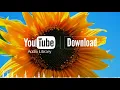 Download Lagu How it Began - Silent Partner (No Copyright Music) 1 Hour Loop