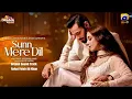 Download Lagu Sunn Mere Dil | Full HD | Orignal Sound Track | Rahat Fateh Ali Khan | Wahaj Ali | Maya Ali |