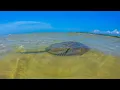 Hidden Gem on the Eastern Shore of Virginia