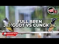 Download Lagu 🔴Cucak Cungkok Gacor Bongkar Materi Panjang Panjang Kasar dan Tajam Masteran Andalan Murai Batu