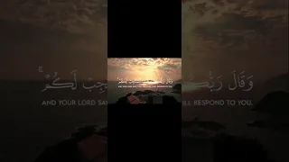 القارئ بلال دربالي سورة غافر Shorts 