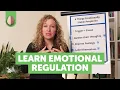 4 Essential Habits for Emotional Regulation
