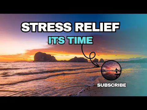 Calm Your Mind: 2023's Best Ambient Music for Stress Relief & Study Sessions