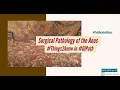 Surgical Pathology of the Anus