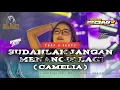 DJ SUDAHLAH JANGAN MENANGIS LAGI ( CAMELIA ) STYLE TRAP X PARTY  ||  MAFIA PROJECT PRODUCTION