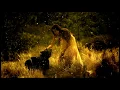 Download Lagu EDWARD MAYA Video - Mono in love HD The Best Song 2013 (Beautiful accordion)