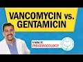 Pharmacology - Vancomycin vs Gentamicin Antibiotics nursing RN PN NCLEX