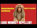 Download Lagu Suara KERAS untuk Menakuti Monyet Seketika | Berhasil dalam Hitungan Detik! (2025)
