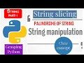 PALINDROME PROGRAM STRING PALINDROME IN PYTHON PALINDROME OF STRING REVERSE OF THE STRING