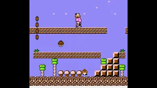 The Lost Mario Bros 2 God Mode (Super Mario Bros. 2 Hack)