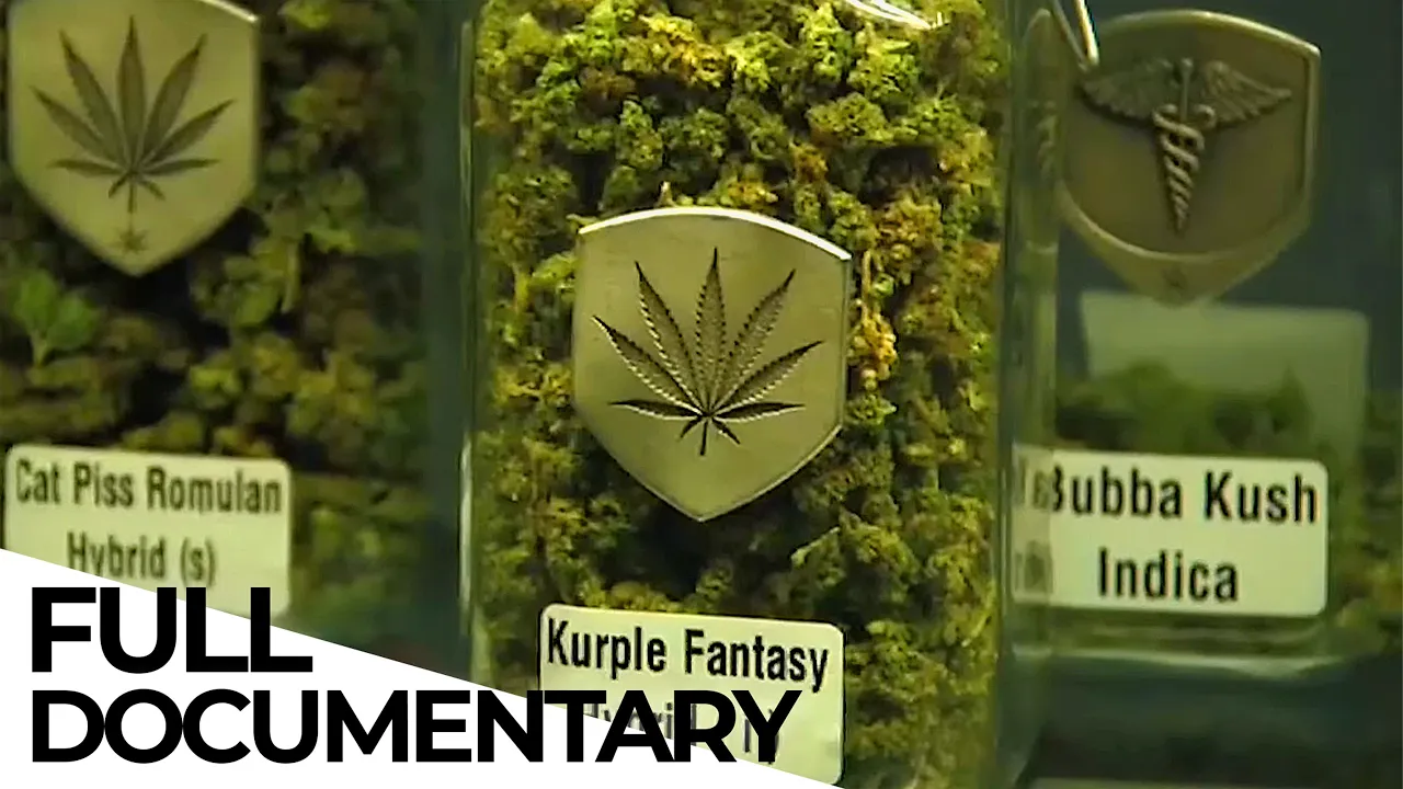 Colorado Green Rush - Get Rich and Stoned? | ENDEVR Documentary