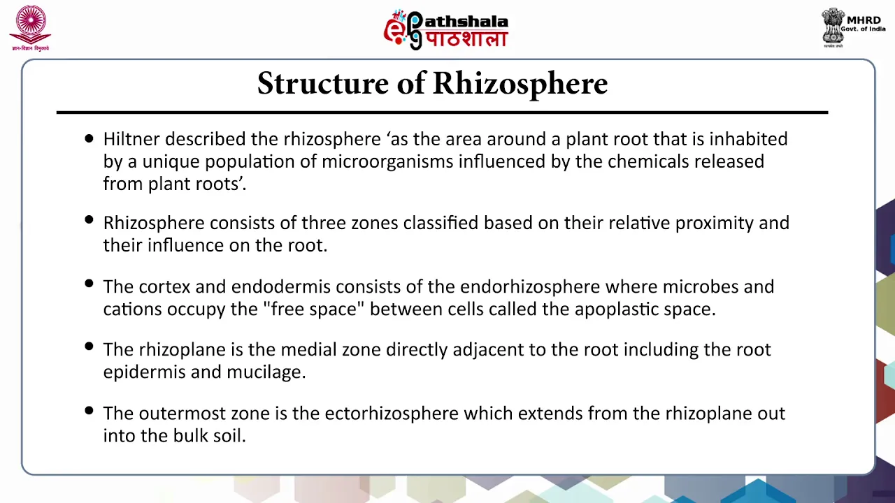 Role of microbes and plants in remediation - Rhizoremediation