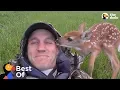 Download Lagu Baby Animals Are So Grateful These Guys Saved Their Lives | The Dodo Best Of