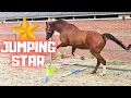 Rising Star⭐, the Jumping Dressage Horse! Does He Still Love Yfke?😍 | Friesian Horses