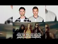 Download Lagu Lucas \u0026 Steve vs. Sevdaliza, Pabllo Vittar, Yseult - Push The Feeling On Alibi (Alex Caspian Mashup)