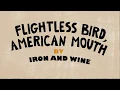 Flightless bird, American mouth - Iron and wine Music Video