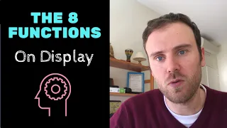 8 Examples of Function Use (Fe, Fi, Te, Ti, Se, Si, Ne, Ni)