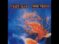 Download Lagu Yeht Mae - 1000 Veins (FULL ALBUM)