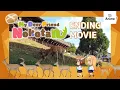 Download Lagu My Deer Friend Nokotan ED - Shika-senbei no Uta | It's Anime