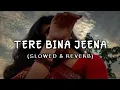 Download Lagu Heartbreaking Beat - Tere Bina Jeena Saza Ho Gaya Lofi Song - slow + reverb