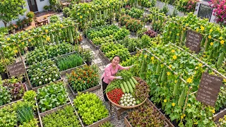 Trời ơi ko tin nổi...luôn, Ra Vườn Hái Rau Củ Đầy Mẹt Siêu To Còn Phát Hiện Bất Bờ "Lạ Đời"