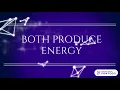 Photosynthesis Cellular Respiration Project
