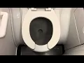 Delta Airlines B737 Flight 379 Toilet