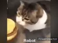 Here kitty you can has cheeseburger but it s autotuned