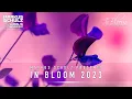Download Lagu Markus Schulz - In Bloom 2023 (Vocal Trance Mix)