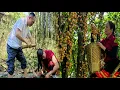 Download Lagu Achter de aardbeienoogst schuilen de zoete momenten van Hung met Tieu Vi.