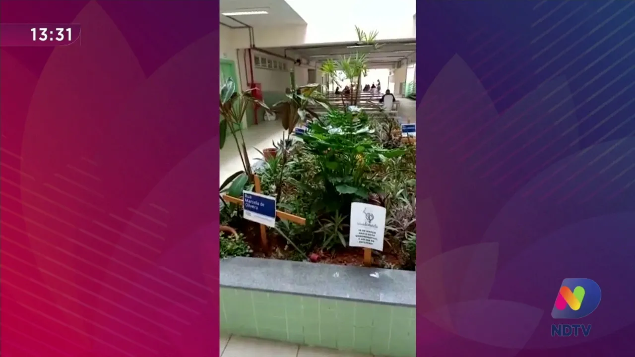 Escola de Blumenau promove ação de conscientização no Dia da Mulher