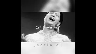 اجمل حالة واتساب لأم كلثوم القلب يعشق و الي هويته اليوم 