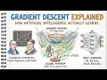 Gradient Descent Explained How Artificial Intelligence Actually Learns