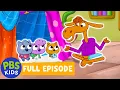 Work It Out Wombats FULL EPISODE Amazing Split PBS KIDS
