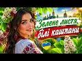ЗЕЛЕНЕ ЛИСТЯ БІЛІ КАШТАНИ 🔥Українська народна пісня 🔥В сучасній обробці 🔥