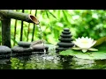 Sacred Piano Music and Zen Garden Water for Yoga and Spa 自然の音とともに音楽をリラックス バンブーウォーターファウンテン 【癒し音楽BGM】