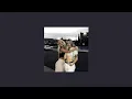 Download Lagu Maggie Lindemann - She Knows It (slowed)
