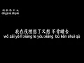 【唱歌學中文】►金智娟 / 飄洋過海來看你◀ ►Wawa Jin /Across the ocean to see you◀『言語從來沒能將我的情意 表達千萬分之一』【動態歌詞中文、拼音Lyrics】