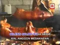 Download Lagu Celeng Guling - Widi Widiana