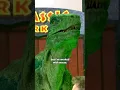Download Lagu Even Dinosaurs Are Fans of GMB! 🦖