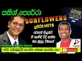 Download Lagu සතිශ් පෙරේරා, SATHISH PERERA  WITH SUNFLOWERS, පැරණි සන්ෆ්ලවර් LIVE SHOW ආසිරි උදාන RECREATED SOUND