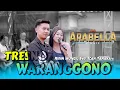 Lagu TRESNO WARANGGONO - RIRIN MUNGIL Feat ICAN TANAKA - ARABELLA Live WATUSONG - DEA AUDIO