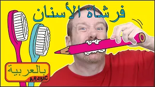 أغنية أغسل أسنانك قصة للأطفال مع ستيف وماجي جديد التحدث باللغة العربية 